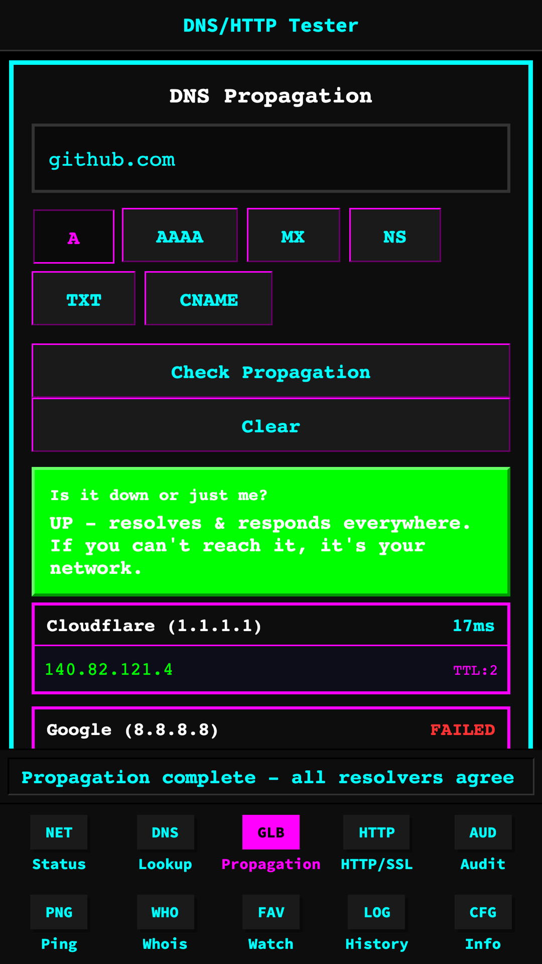 DNS propagation / downtime screen